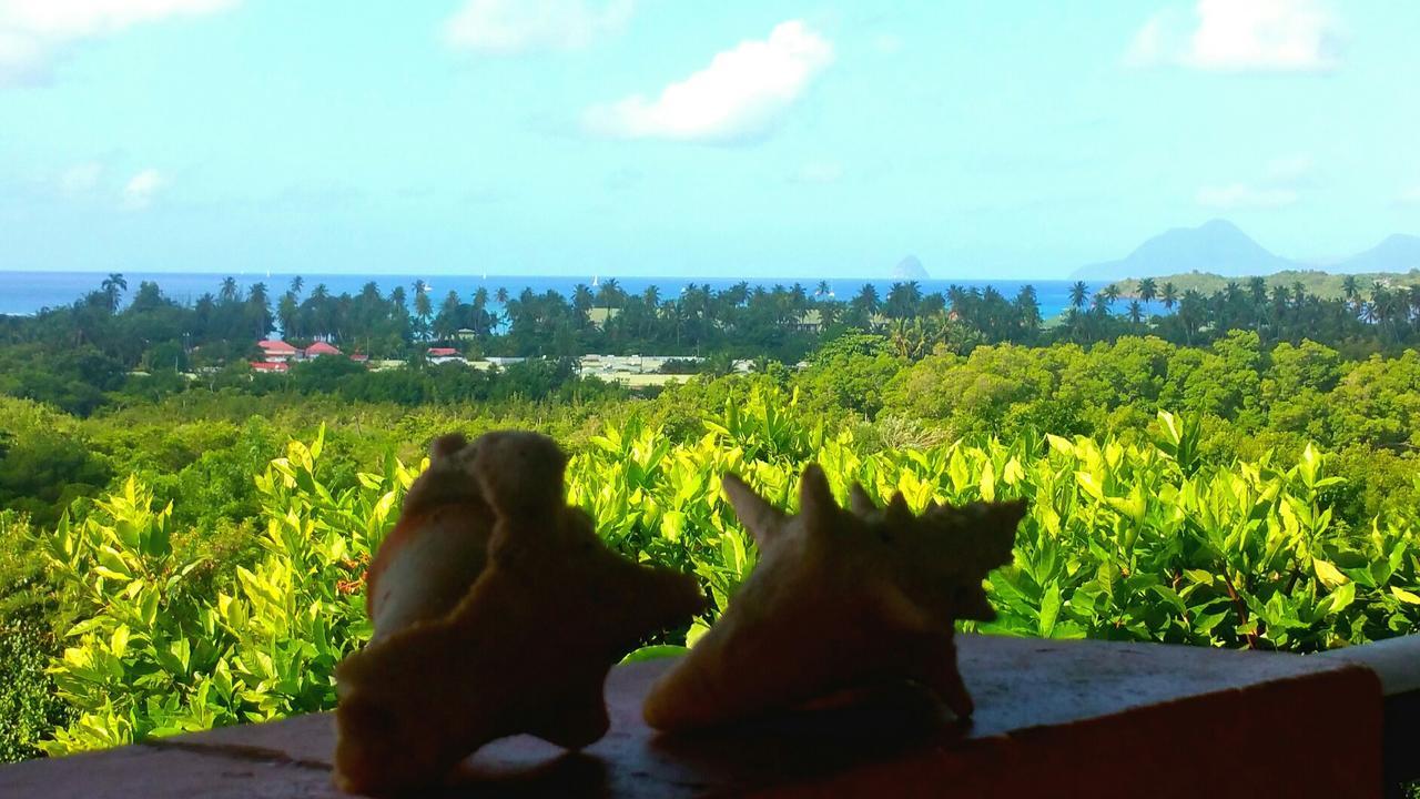 Studios Carribean Sea View Сент-Анн Экстерьер фото